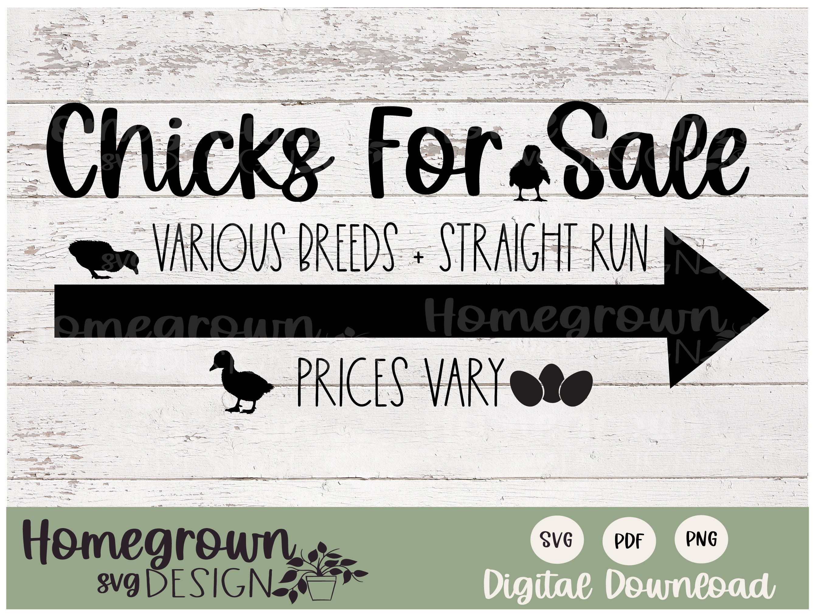Poussins à vendre SVG - poulets à vendre signe - Baby Chic SVG - ferme Stand signe - oeufs à vendre signe - poulet SVG - Backyard Farmer signe
