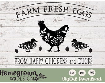 Oeufs frais de ferme de poules et de canards SVG - oeufs de canard à vendre signe - poulet et canard SVG - signe de canard - oeuf de canard SVG - marchand d'oeufs svg