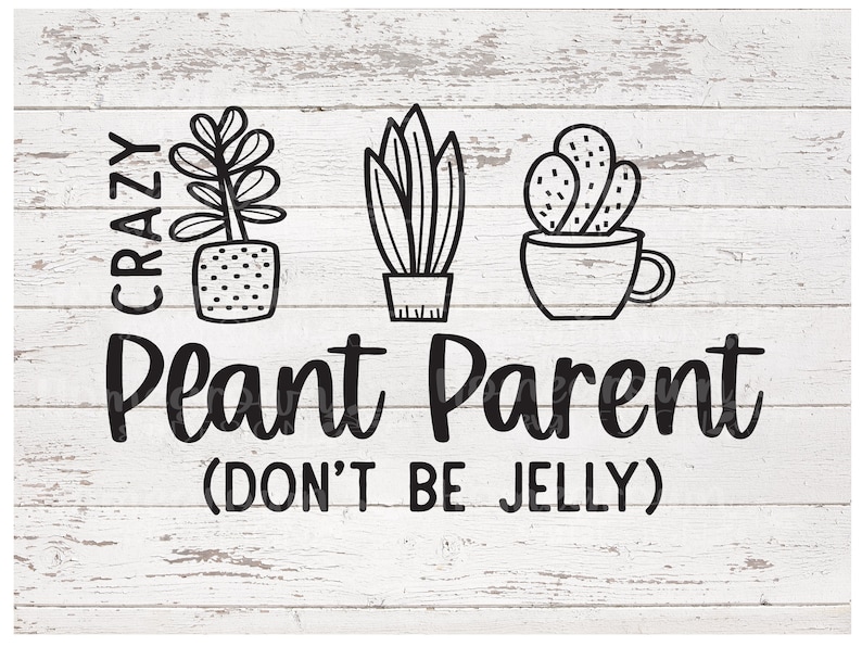 May include: A white wood sign with black text that reads "Crazy Plant Parent (Don't Be Jelly)". The sign features three black and white illustrations of potted plants.