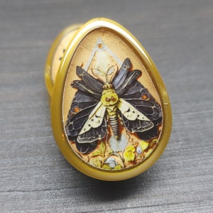 Evolve  - Teardrop Plugs Gauges Earrings (Pair)