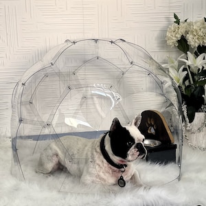 Bow wow dog houses prices clearance