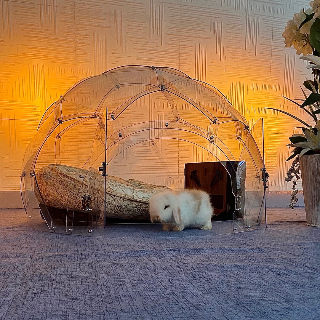 Diaglasspen Closed Igloo Rabbit House Outdoor Medium Size 32 Etsy