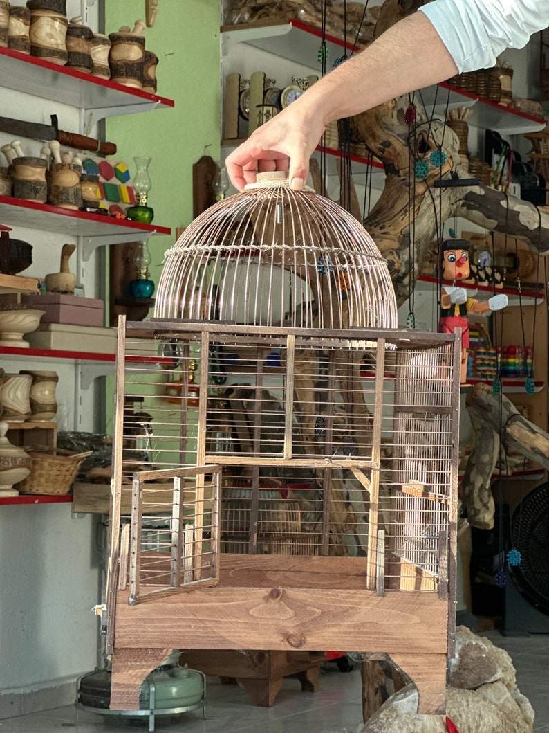 Image showcasing Hyacinth Macaw Breeders | Hyacinth Macaw Aviary