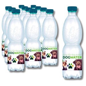 Long Life Dog Water: pH-Balanced Hydration for Well-Being