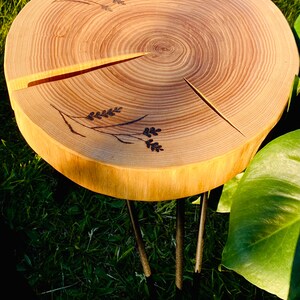 Couchtischplatte aus Holz, Esstisch, Computertisch, runder Tisch, rustikale Wohnzimmermöbel, Beistelltisch aus Wurzelholz