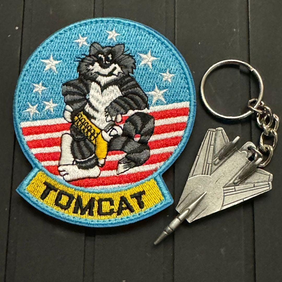 Eagle Crest F-15イーグル&F-14トムキャット ピンバッジセット il_1080xN.6403260623_cbb0.jpg