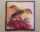 Beautiful Vintage Ephemera Bird Iron Sew On Patch 5x5 inches Chic Cottagecore Birds