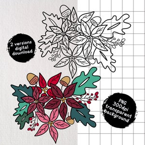 Poinsétia flor Sublimação duas versões flores de inverno Clipart ilustração PNG outono natureza neve jpeg impressão digital canecas cartões comemorativos