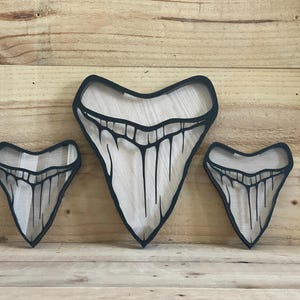 Megalodon shadow box, Shark tooth Display! Great way to display your shark teeth, sea glass, rocks, crystals etc. Shark tooth shadow box