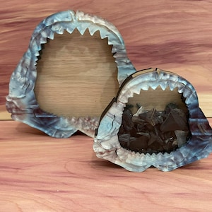 Shadow Box for Shark Teeth, Sea Glass, Agates, Crystals Shark Tooth Display Shark Tooth Collection Box Shark Shark Teeth Shark Tooth