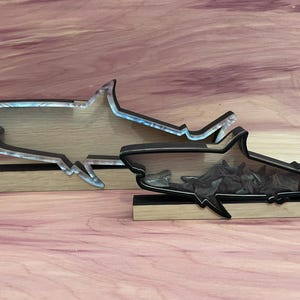 Shadow Box for Shark Teeth, Sea Glass, Agates, Crystals Shark Tooth Display Shark Tooth Collection Box Shark Shark Teeth Shark Tooth