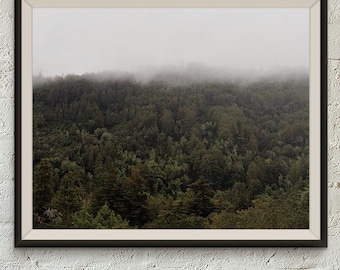 Foggy Forest Wall Art | Misty Mountain Printable | Nature Landscape Photo