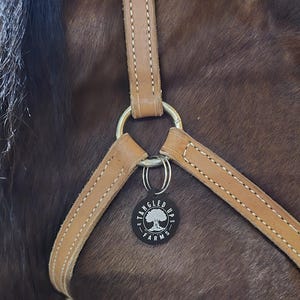 Bridle Tag, Halter Tag, Horse Name Tag,  Blanket Tag, Barn ID, Personalized Bridle Tag, Saddle Tag, Stable Name Tag, Horse Lover Gift