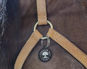 Bridle Tag, Halter Tag, Horse Name Tag,  Blanket Tag, Barn ID, Personalized Bridle Tag, Saddle Tag, Stable Name Tag, Horse Lover Gift