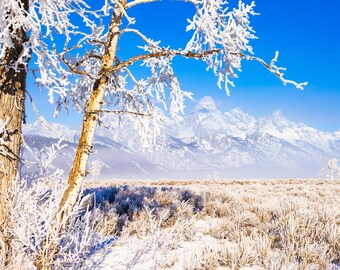 Lámina de Grand Teton / Invierno en Grand Teton / Lámina de montaña / Lámina de parques nacionales / Foto de Grand Teton / Arte mural de montaña / Montañas nevadas