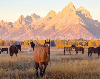 Estampado de Grand Teton / Caballos de rancho / Estampado de montañas / Estampado de caballos / Estampado de animales / Fotografía de montaña / Grand Teton / Decoración de cabaña