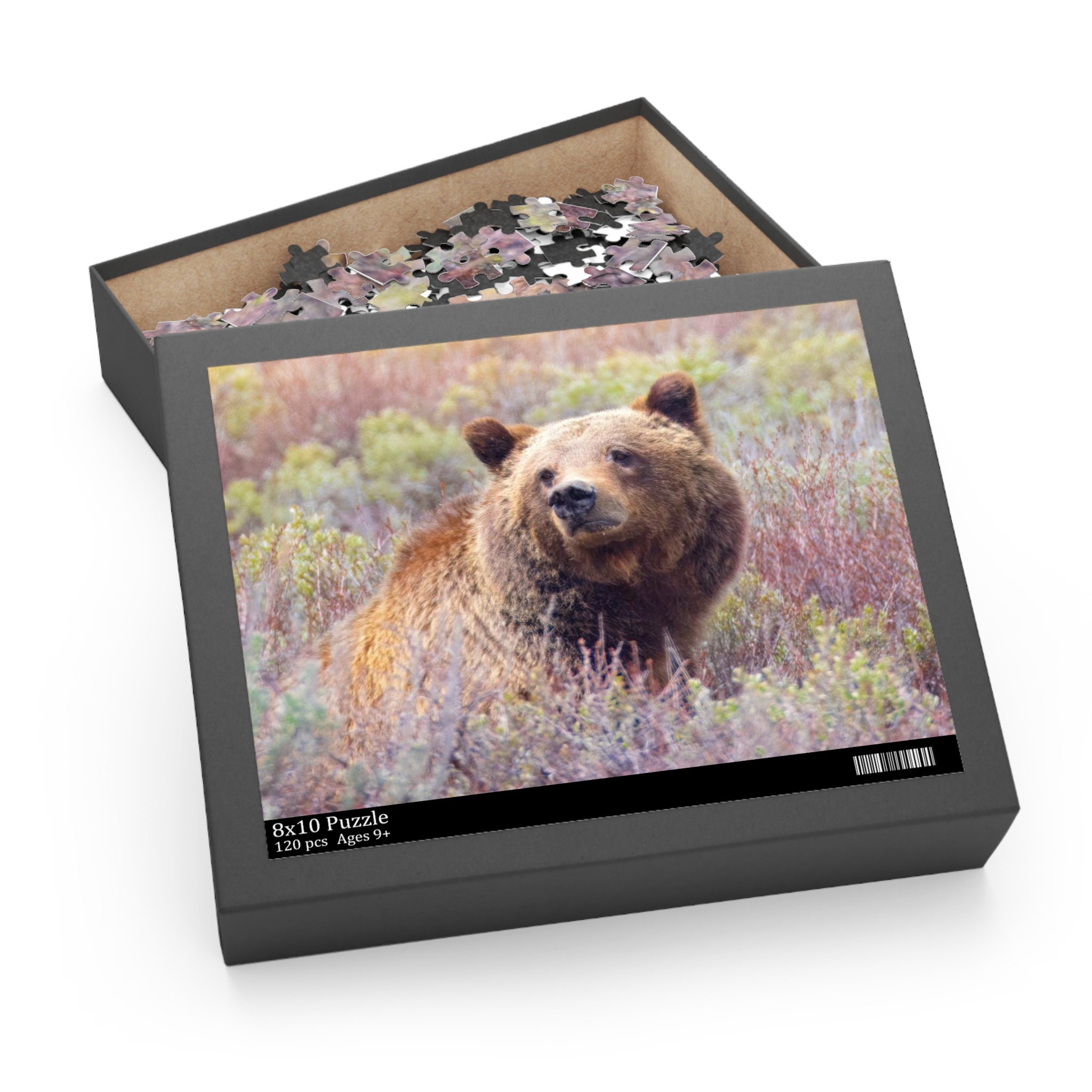 bearページ Grizzly 399 & Her Cubs