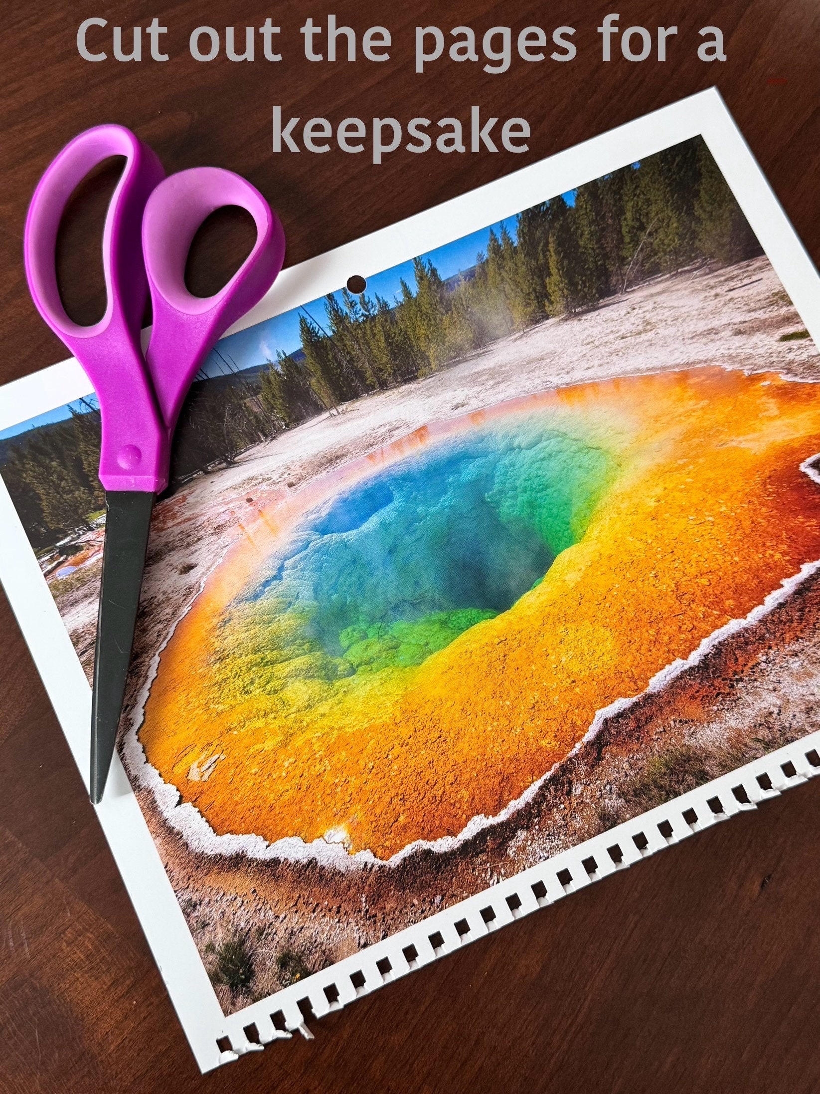 Yellowstone Park 2024 Wall Calendar, 12 Month Calendar, Nature Photo
