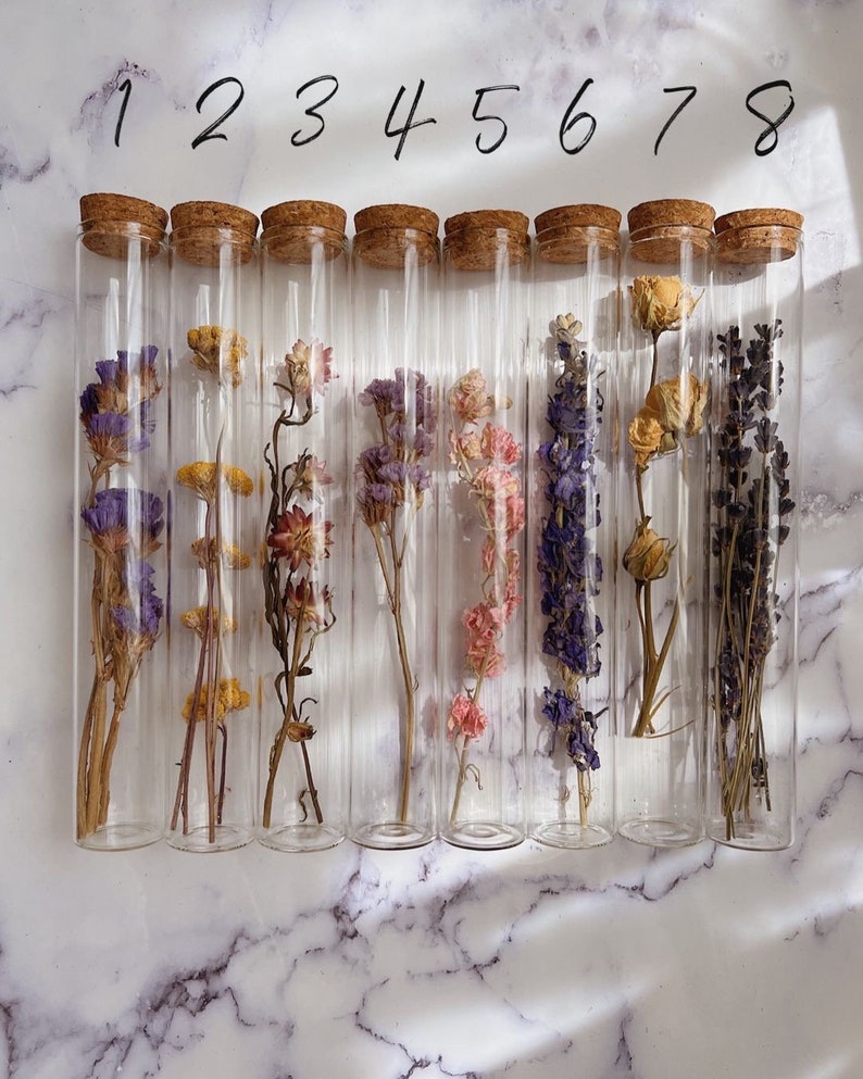 Dried Flower Tubes Altar Spell Decoration image 3