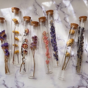 Dried Flower Tubes Altar Spell Decoration image 4