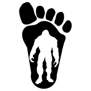 Bigfoot sasquatch inside a big foot!