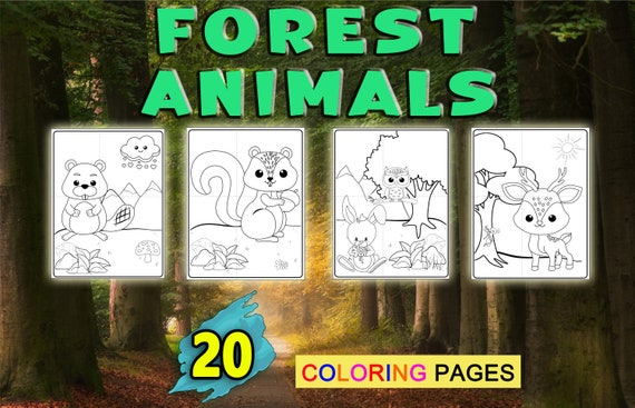 Forest Animals Printable Coloring Pages Instant Download PDF