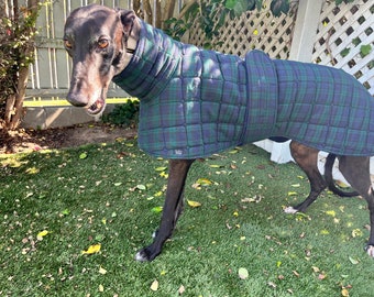 Greyhound Quilted Jacket- Green and Blue Tartan