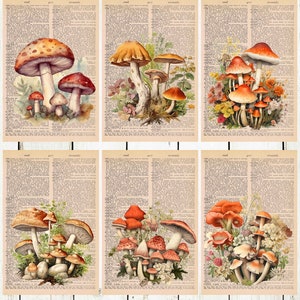 6 Mushroom Themed Dictionary Prints