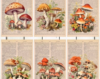 6 Mushroom Themed Dictionary Prints