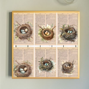 6 Bird Nest Themed Dictionary Prints image 2