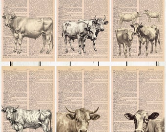 6 Cow Themed Dictionary/Old-Text Prints