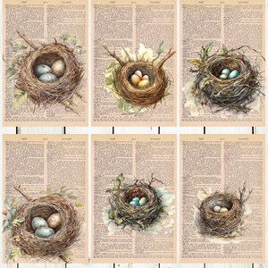 6 Bird Nest Themed Dictionary Prints image 1