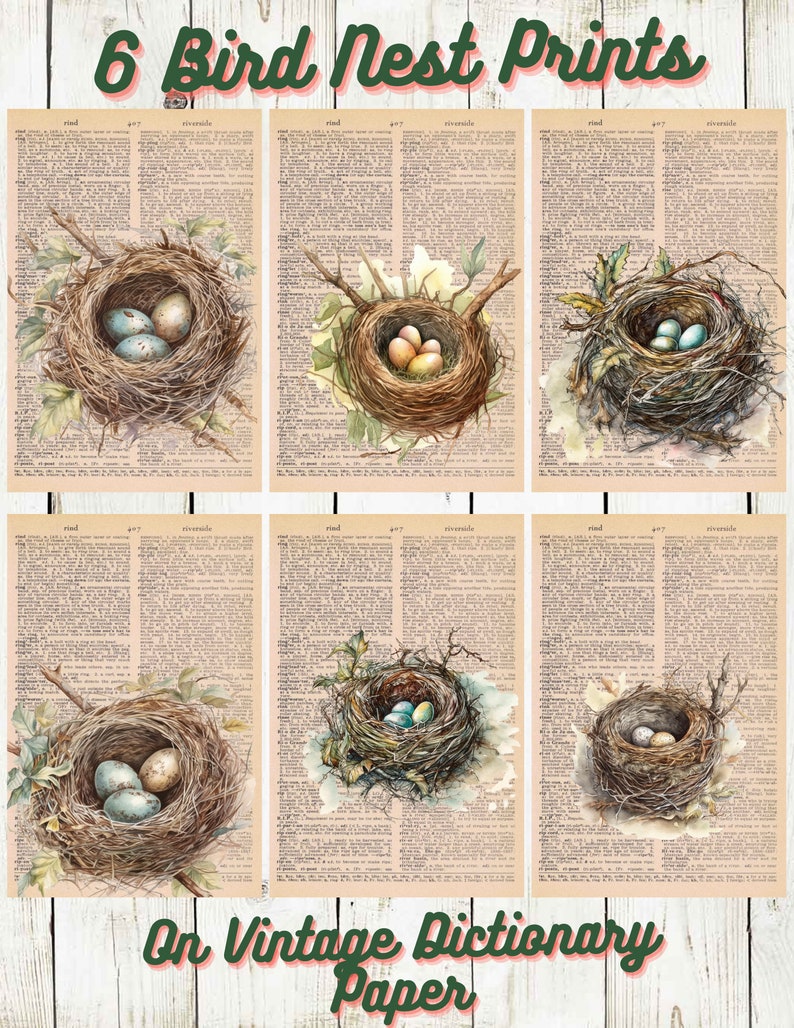 6 Bird Nest Themed Dictionary Prints image 1