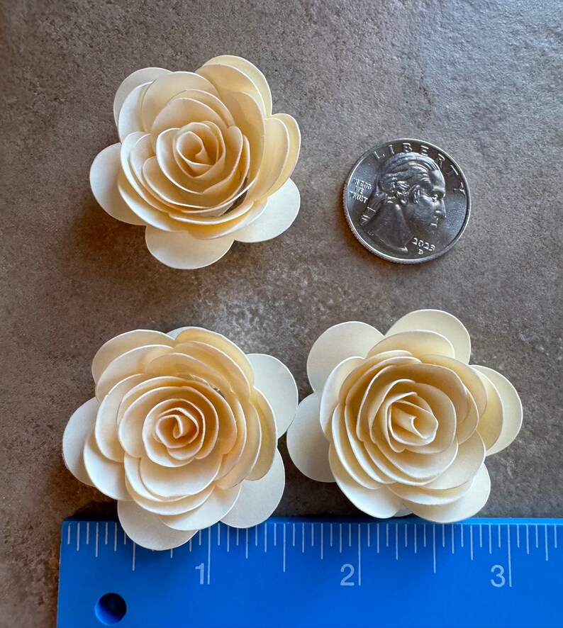 15pk Buttercream Rolled Paper Roses 1” Inch - Etsy