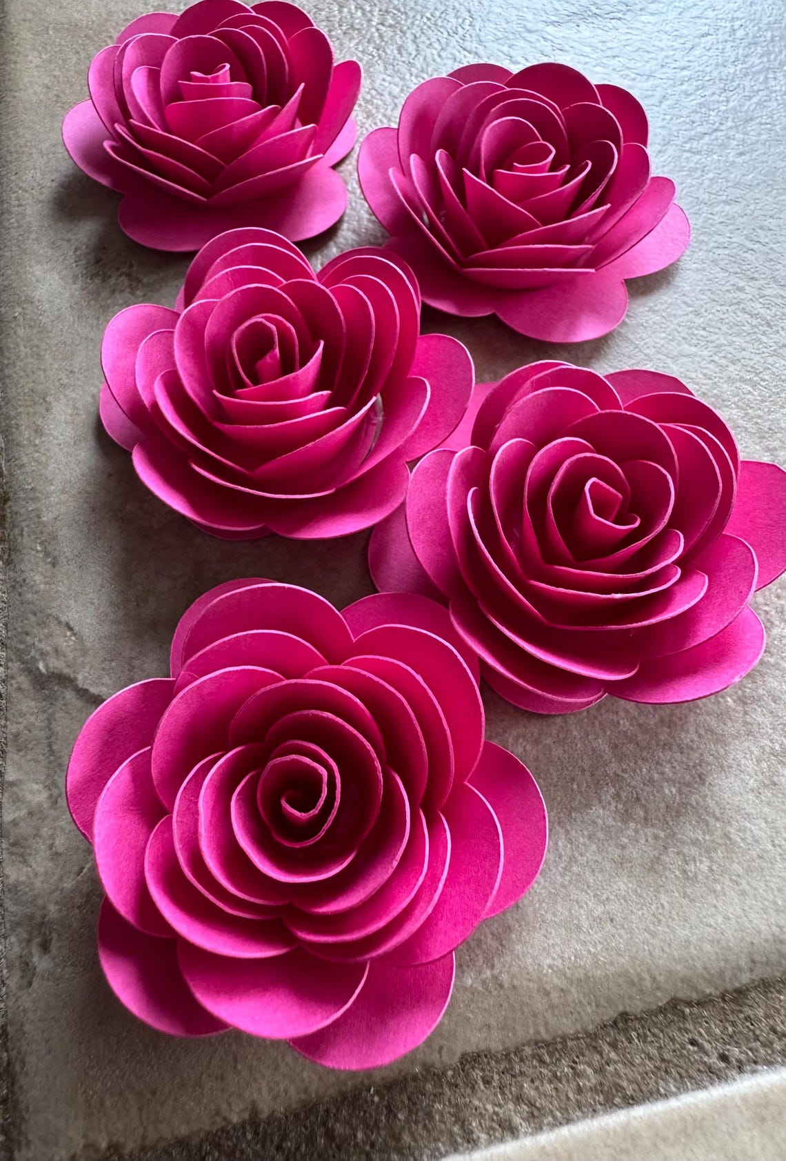 Pink Roses Roll 1.5