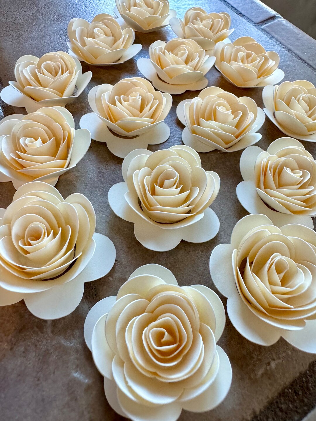 Mini Rolle Paper Roses 15pk Buttercream Rolled Paper Roses 1” Inch - Etsy