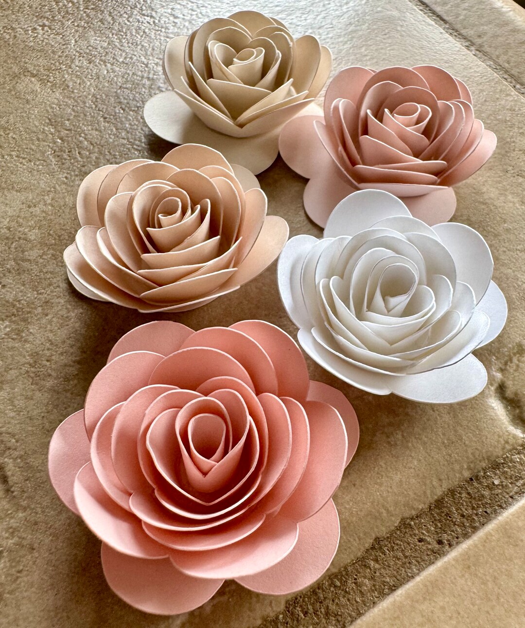Pink Roses Roll 1.5