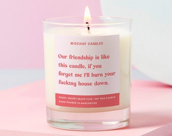 Best Friend Gift | Funny Gift For Her | Funny Candle | Friendship Is Like A Candle Burn House Down