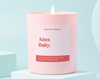 Aries Birthday Gift | Funny Zodiac Birthday Gift Candle | Aries Baby