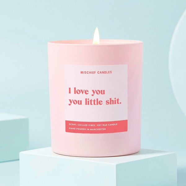 Girlfriend Boyfriend Gift | Funny Candle Gift | I Love You | You Little Shit