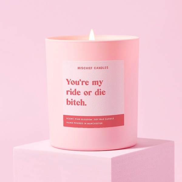 Funny Best Friend Gift You're My Ride or Die Bitch Friendship Gift Soy Wax Candle