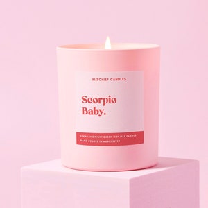 Cadeau d&#39;anniversaire Scorpion | Cadeau d&#39;anniversaire drôle du zodiaque | Bougie drôle | Bébé Scorpion