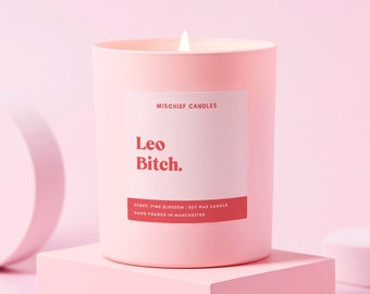 Leo Birthday Gift | Funny Zodiac Birthday Gift | Funny Candle | Leo Bitch