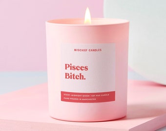 Pisces Birthday Gift | Funny Zodiac Birthday Gift | Funny Candle | Pisces Bitch