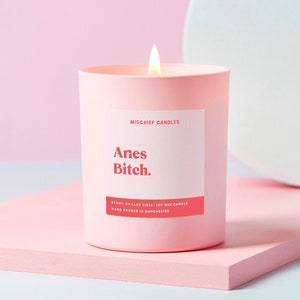 Aries Birthday Gift | Funny Zodiac Birthday Gift Candle | Aries Bitch