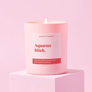 Aquarius Birthday Gift | Funny Zodiac Birthday Gift Candle | Aquarius Bitch