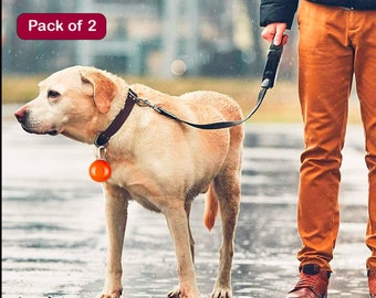 Etiqueta de seguridad LED impermeable para collar de mascotas / Clip, luz intermitente (Paquete de 2)