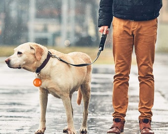 Impermeable Pet Dog Cat Collar LED Night Safety Clip Tag / Intermitente / Luz luminosa