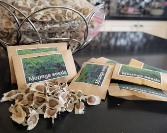 Moringa / mulungai  seeds for planting