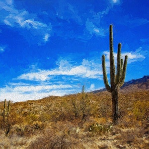 Saguaro Cactus in Saguaro National Park in Tucson Arizona on Canvas, Metal and Fine Art Prints To Be Displayed in Homes or Offices Anywhere